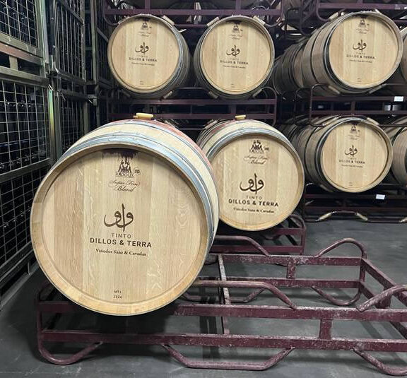 barricas sanzcavadas