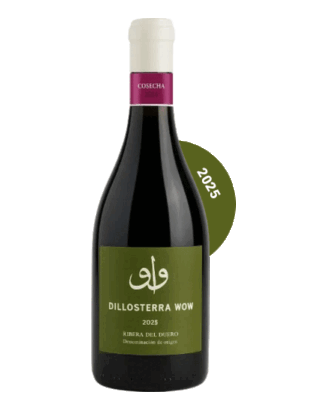 DILLOSTERRA Wow 2025 - CAJA DE 6 BOTELLAS