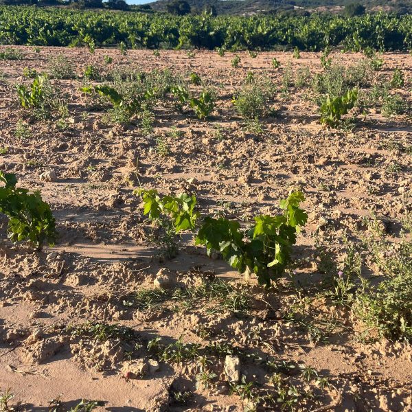 23159616-3f30-48fe-976e-53d61c1ef941