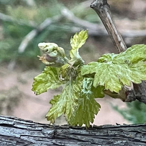 2e22c91b-bc44-49a6-97de-b5c5550761c5