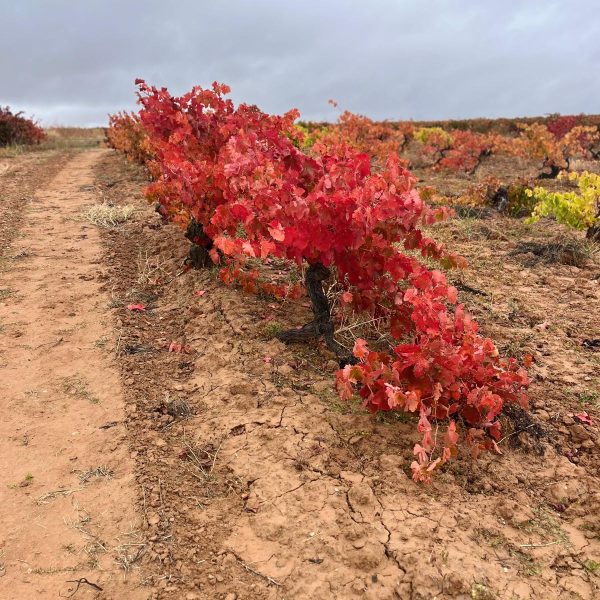 4b1222e8-cac5-422f-b5c5-a76eeace35e0