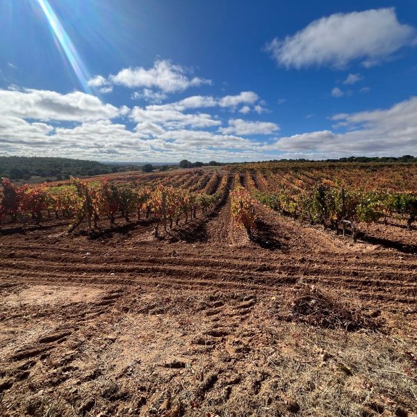 510d8e67-3fef-4cb2-9b83-7906abdf02c5