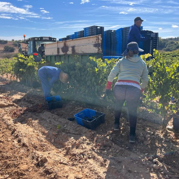 585afff4-c572-489e-b145-3bbf2013411a