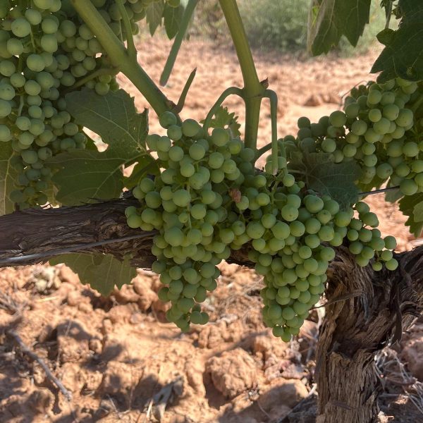 5918ff76-0588-468c-802f-fb98d753462a