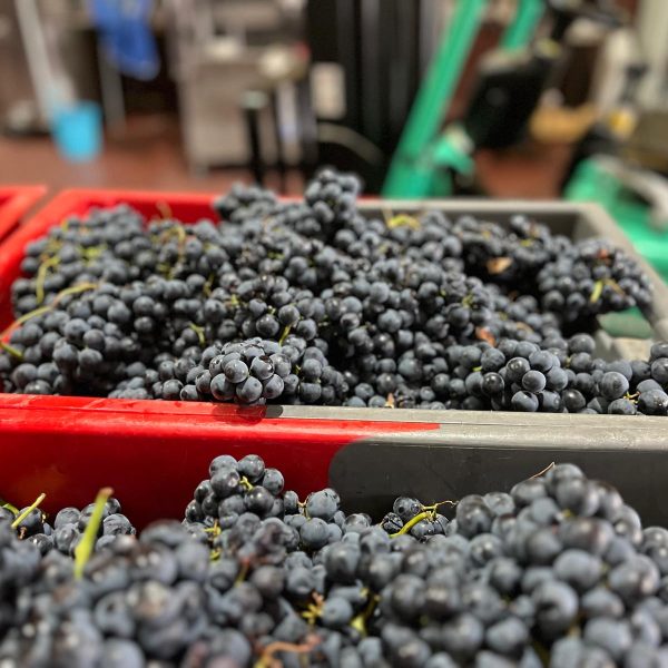 59d3f59d-786f-4da1-a38e-b53c22953b8b