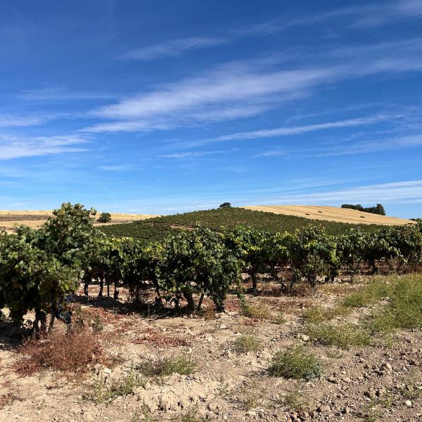 639a4c9a-4060-48f5-9a8f-f4a4e1bcd77f