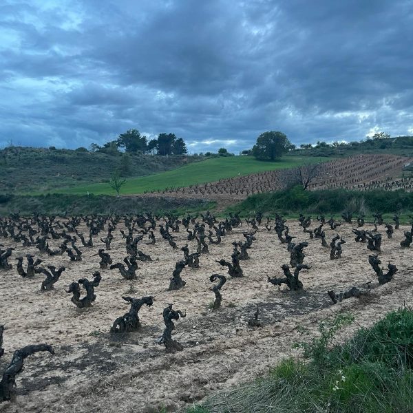 645c9228-a103-43a4-861a-82c828f4bcad