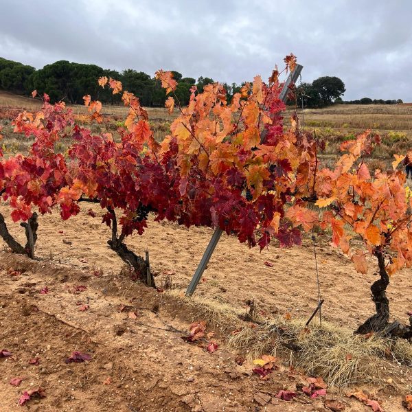 72394aca-c40d-445e-ba40-389777af922f