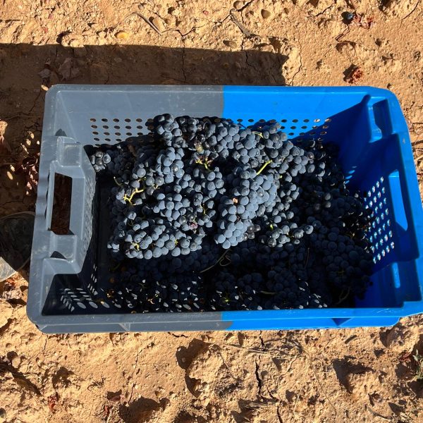 92656574-4e08-4c3a-af2f-36389b7cc1ed