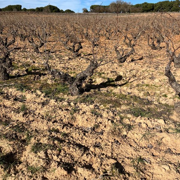 9757b781-ec81-4fbd-ace9-eee12048cefc