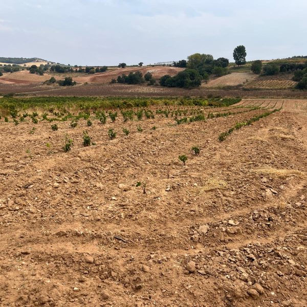 9c2c69ab-5727-4918-b3d8-d1b456677b8e