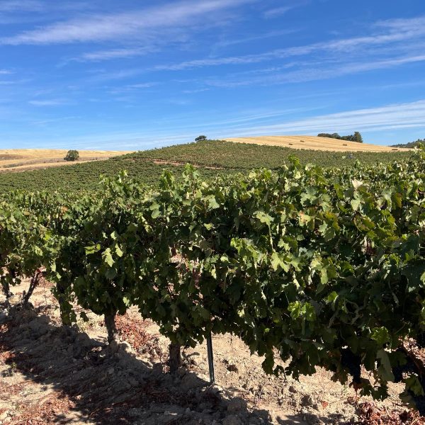 9e491564-0570-4ffb-9dba-c173fc78c239