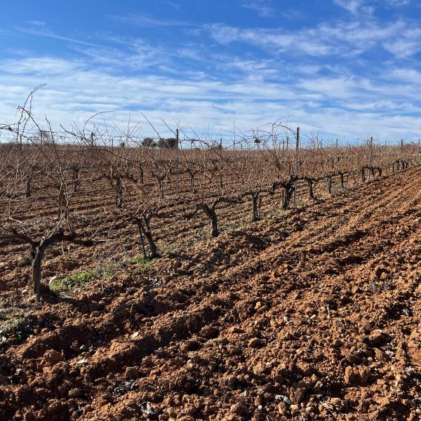 9e96012d-5f98-4cac-b563-fb9121a7c6db