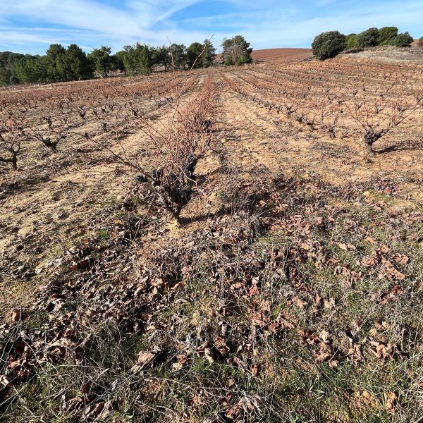 WhatsApp Image 2025-12-02 at 09.50.41 (2)