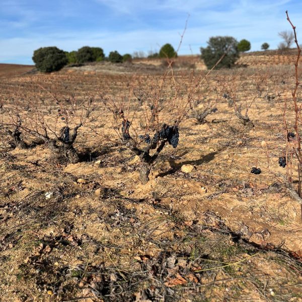 WhatsApp Image 2025-12-02 at 09.50.41