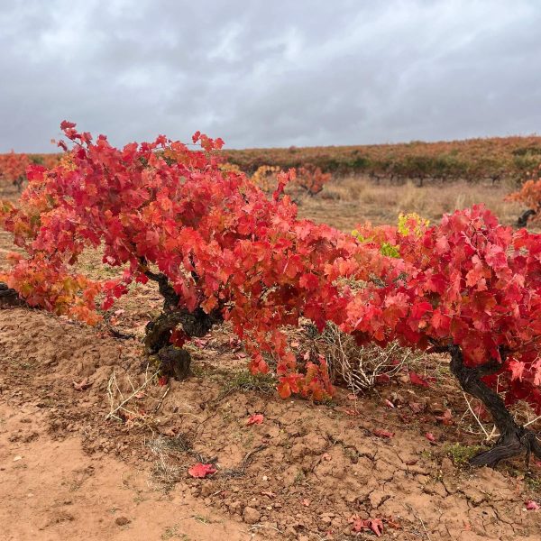 a79d9cbc-ce2c-43dc-803f-d57137ad5347