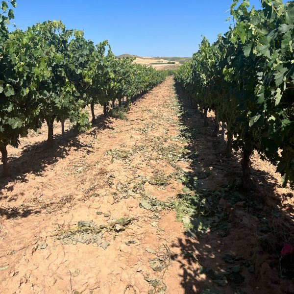 cc103268-37d7-41ed-ad6e-634e618e924c