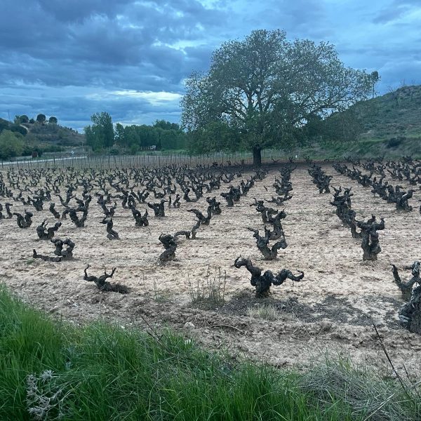 d7fadbd0-d43e-4a75-b6a6-db5f0a58c6e7