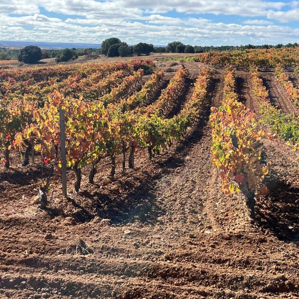 dc3c0731-39e3-47b9-a6df-23f03a076382