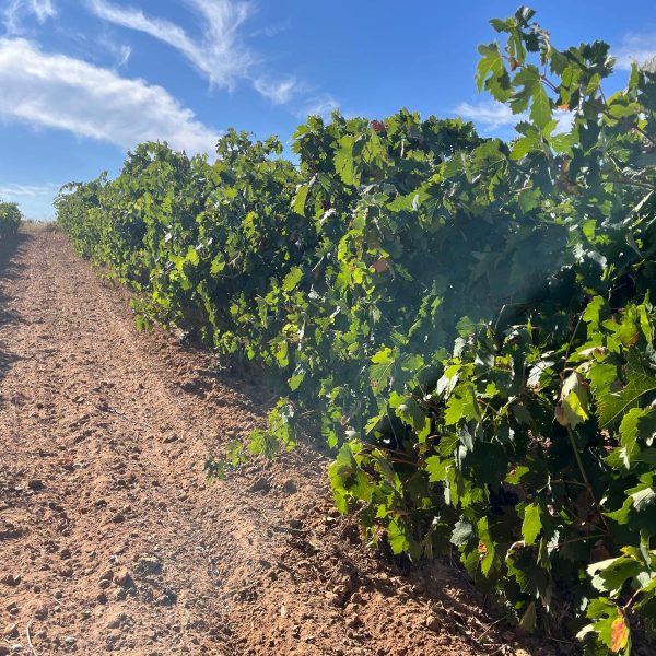 dd4eb9b9-0599-41b5-b342-d99f8f1ef2f8