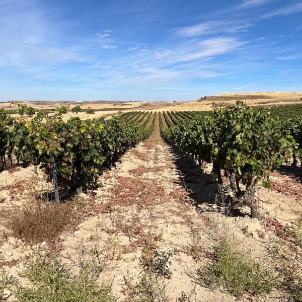 fed382c6-69aa-495e-a80d-753bb83af88c